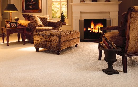 Carpet cleaning living room