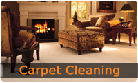 Edmonton Carpet Cleaning