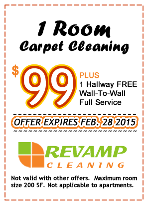 1 ROOM CARPET CLEANING